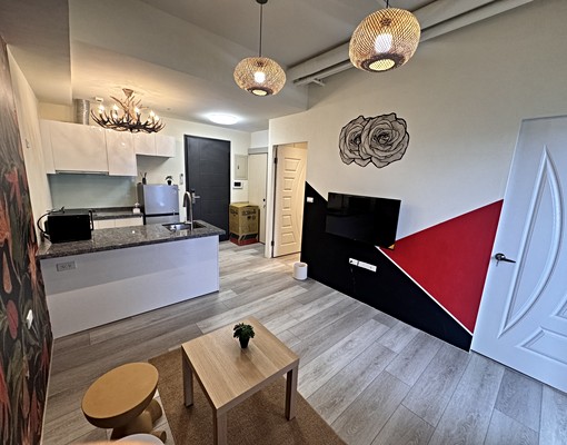 近桃園樂天棒球場/可租補/可養貓/超美設計師裝潢不租可惜😍 - Image 1