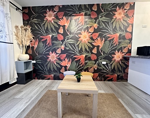 近桃園樂天棒球場/可租補/可養貓/超美設計師裝潢不租可惜😍 - Image 11