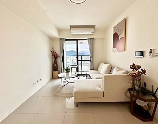 新光特區|全新未住|三房平車精美裝潢有視野|可租補可寵 - Image 1