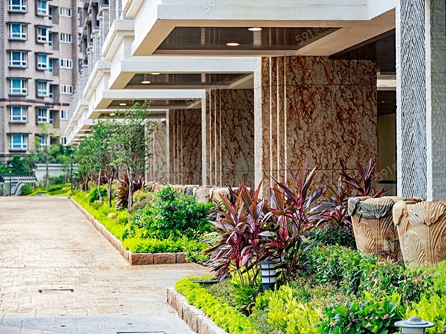 台北灣 銀河實景圖