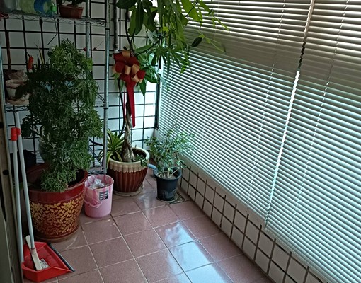 交通便利環境清靜現況出租.詩肯傢倶 - Image 13