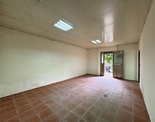 👍三峽市中心❤️世外桃源寬敞兩房❤️+大庭院 - Image 2