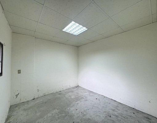 👍三峽市中心❤️世外桃源寬敞兩房❤️+大庭院 - Image 3