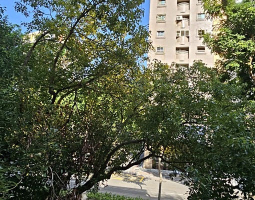 文化中心高師大附近超大明亮雅房可租補 - Image 15