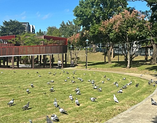 近桃園車站、新成屋2房、屋主自租、可寵(貓)家俱可談 - 591租屋網 - Image 6