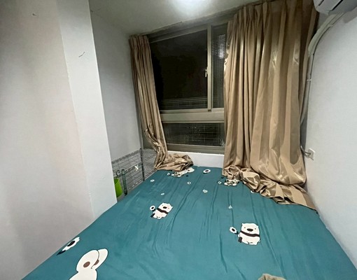 板新❣️租補報稅~免爬高水泥牆~對外窗採光通風~環球百貨 - Image 7