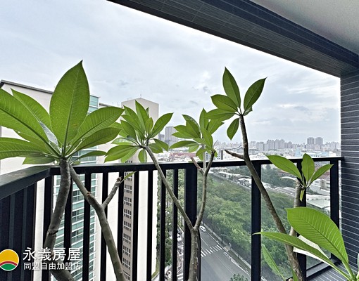 專約⭐高樓景觀×綠意生活×精緻裝潢×郡都當代 - Image 12