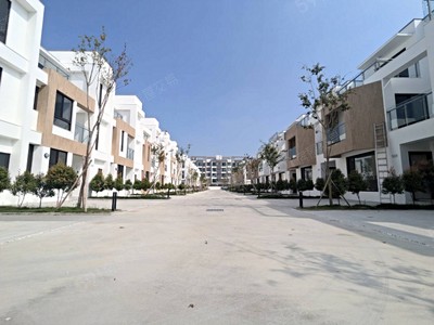 🏡嘉義大林全新7米6大面寬雙車別墅