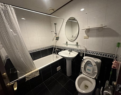 嘉暘/免仲/可補助/桃園莊敬路一段/羅浮宮廷4房車 - Image 5