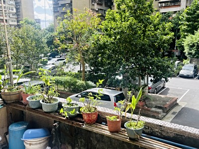 住商仁愛光復店~青年公園國興低總三房大露台