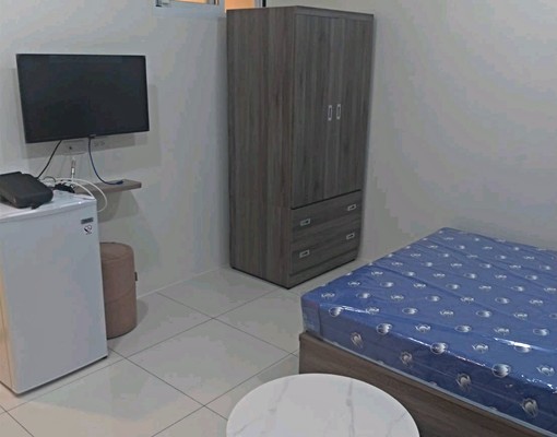 全新/桃鶯路/龜山工業區/聖保祿/獨洗 - Image 4