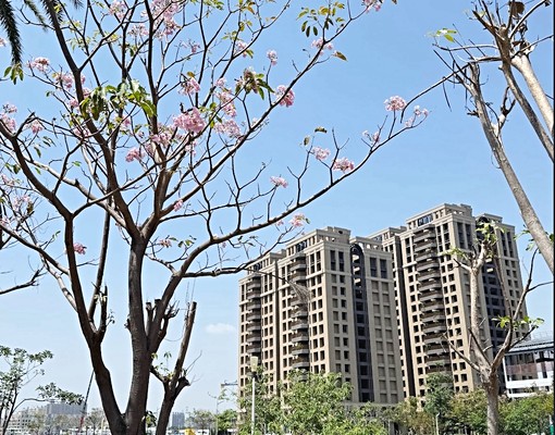 ★永信禾豐公園宅三房平車★鄰亞灣紅線雙捷輕軌 - Image 2