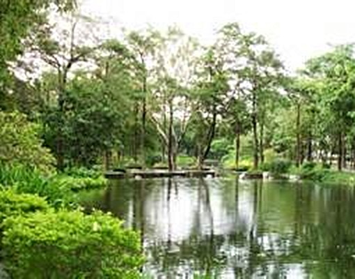 鳳山市中心近大東藝文中心(限女性) - Image 5