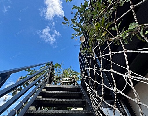 如果您想🌿森林芬多精+心靈洗滌+民宿月租=那就來吧 - Image 12