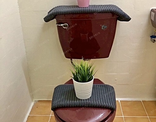 💜首月租金享半價♦️新生森寓整層住家2房依台電/可貓 - Image 15