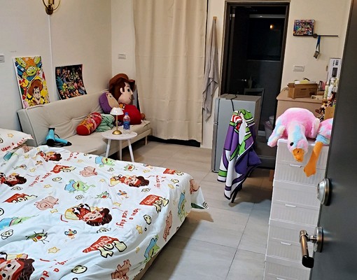 觀音成功路，長榮，全新電梯，陽台，垃圾專人處理， - Image 19