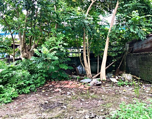 永慶羅美蓁~近壽豐車站老街3房金店住 - Image 10