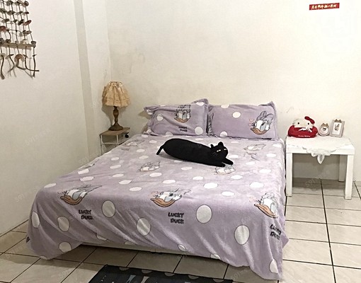 ❤️台北橋|通風採光佳|獨立洗衣機陽台|可炊 - Image 1