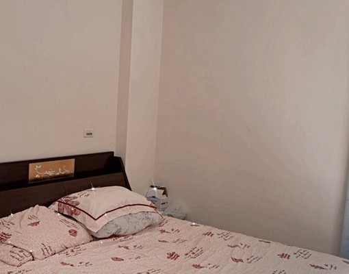 怡安路二段整層住家出租(限女生) - Image 9