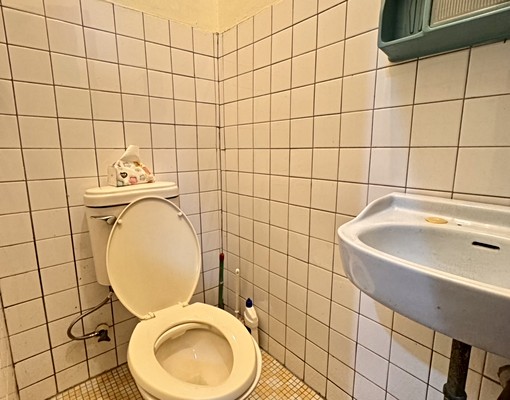 平鎮獅子林整棟透店『室內車庫』 - Image 9