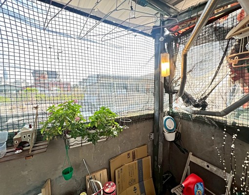 小巨蛋/松山機場、採光通風獨洗曬陽台機能強 - Image 7