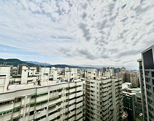 新光特區樹孝商圈高樓視野全新大3房平車可租補可入籍可寵可神明 - Image 6