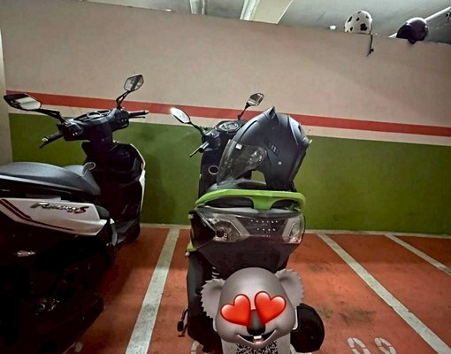 出租搭慶時包 - Image 13