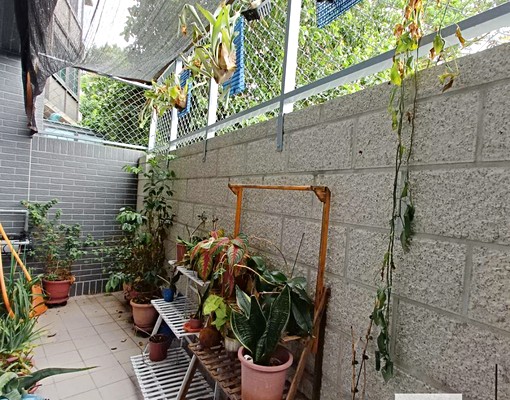 🌈17分北屯與新社🌈雙車位正4套6衛舒適全新電梯別墅 - Image 5