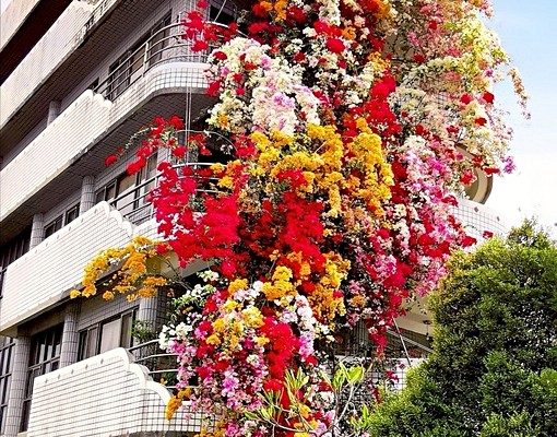 鹽水鬧區~月津港店面58.6坪+地下室28.6坪+騎樓25坪 - Image 3