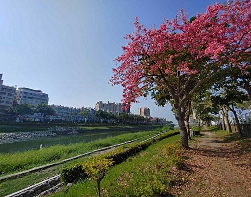 租【河畔HAPPY|德賢商圈】2房✖2陽台✖家俱電全 - Image 9