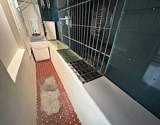 敦信社宅🏆板橋寧靜公寓3房2廳✨天然瓦斯🏆免仲可補助 - Image 7