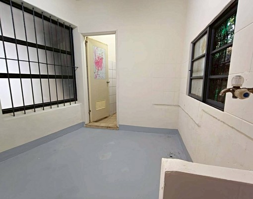 可寵狗貓🎉鰲峰山公園🎉清水網紅拍照區🎉停車超方便 - Image 12