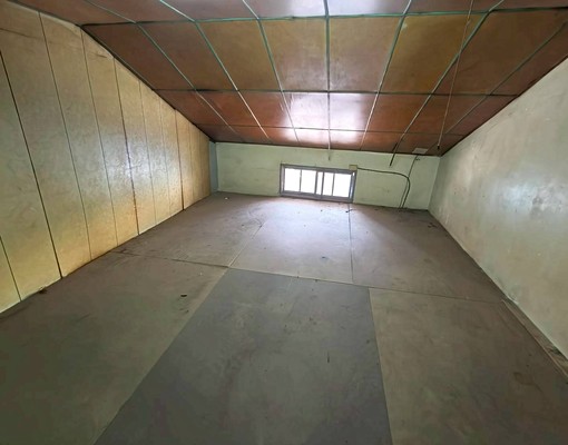 可寵狗貓🎉鰲峰山公園🎉清水網紅拍照區🎉停車超方便 - Image 4