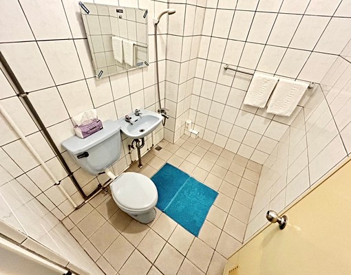 ✨科博館超秒殺✨超級大間❤獨立大陽台❤ - Image 9