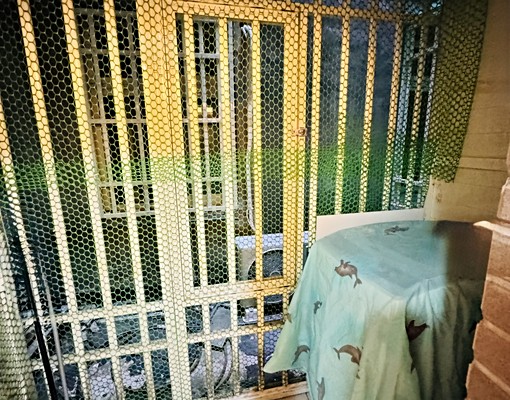 ⭐️三重區三和路🔥徐匯中學🏠分租套房陽台👑乾濕分離⭐️ - Image 6