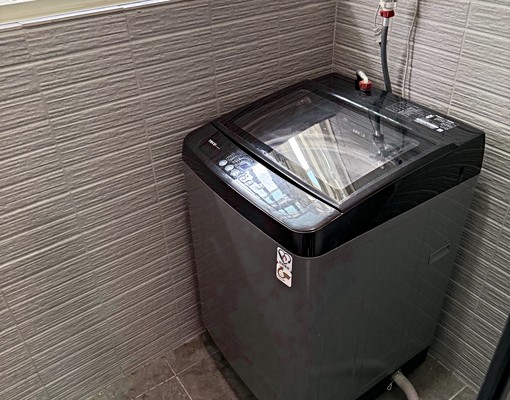 可申請補助,可小寵 - Image 6