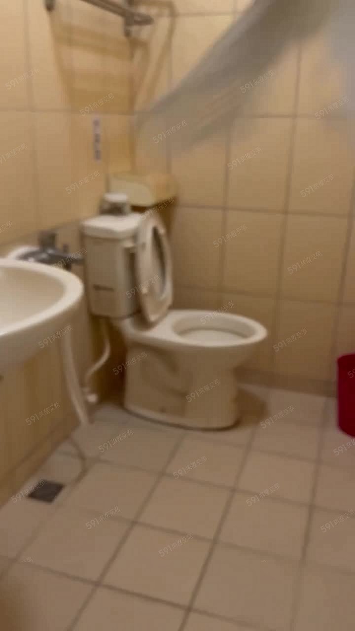 可申請補助,可小寵不吵 - Image 1