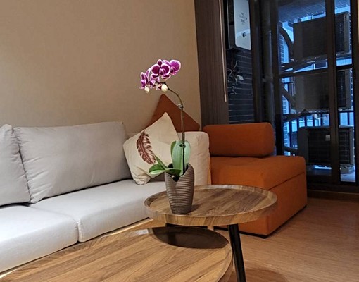 專任🪴僅此一戶🪴侘寂美學兩房花園戶🪴雙租補 - Image 11