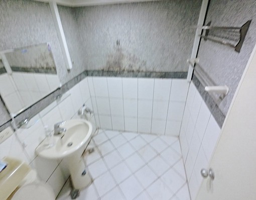 可短租教育大學♡電梯獨洗♡可寵物♡飲水機♡溫馨舒適♡採光明亮 - Image 5