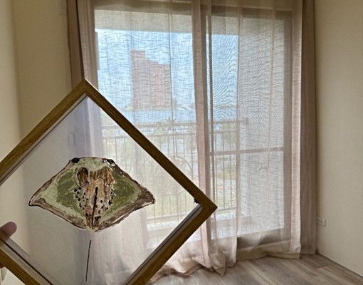 【員林昌祐信義大廈|兩房+平車|採光佳|朝南冬暖夏涼】 - Image 1