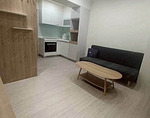 🌸A18|全新2房含車管|木地板|拎包入住|近IKEA - Image 2