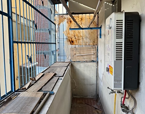 可補助/小寵/入戶口 - Image 11