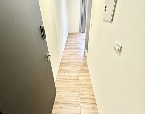 全新雙面採光🍀可貓可租補🍁乾溼衛浴✨陽台獨洗 - Image 7