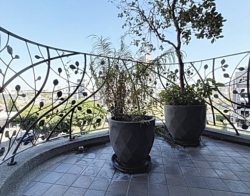 ⭐️龍寶仁美臻邸⭐️百萬裝潢~雙平車位⭐️ - Image 12