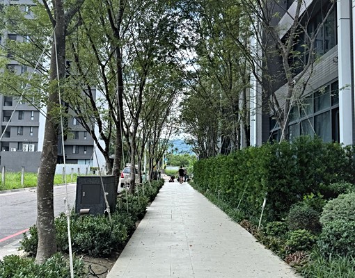 寶輝綠生活😍三房平車💖朝南 - Image 12