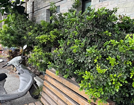 屏東九如獨立套房出租 - Image 1