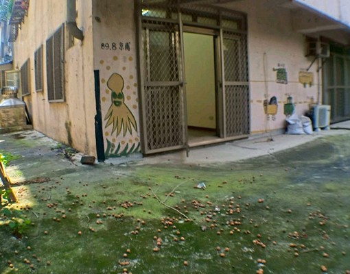 可租補❤️水湳商圈大三房休旅車位超大側院 - Image 6