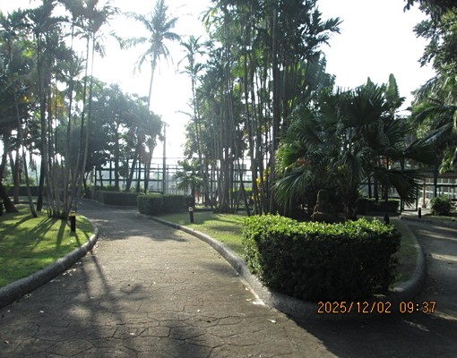 亞熱帶渡假套房 - Image 14