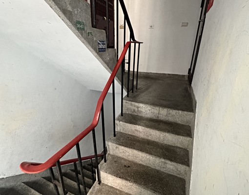 豐年街🦕新莊站🦕社會住宅🦕歡迎貓狗 - Image 3