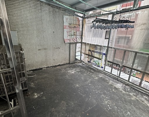 豐年街🦕新莊站🦕社會住宅🦕歡迎貓狗 - Image 10